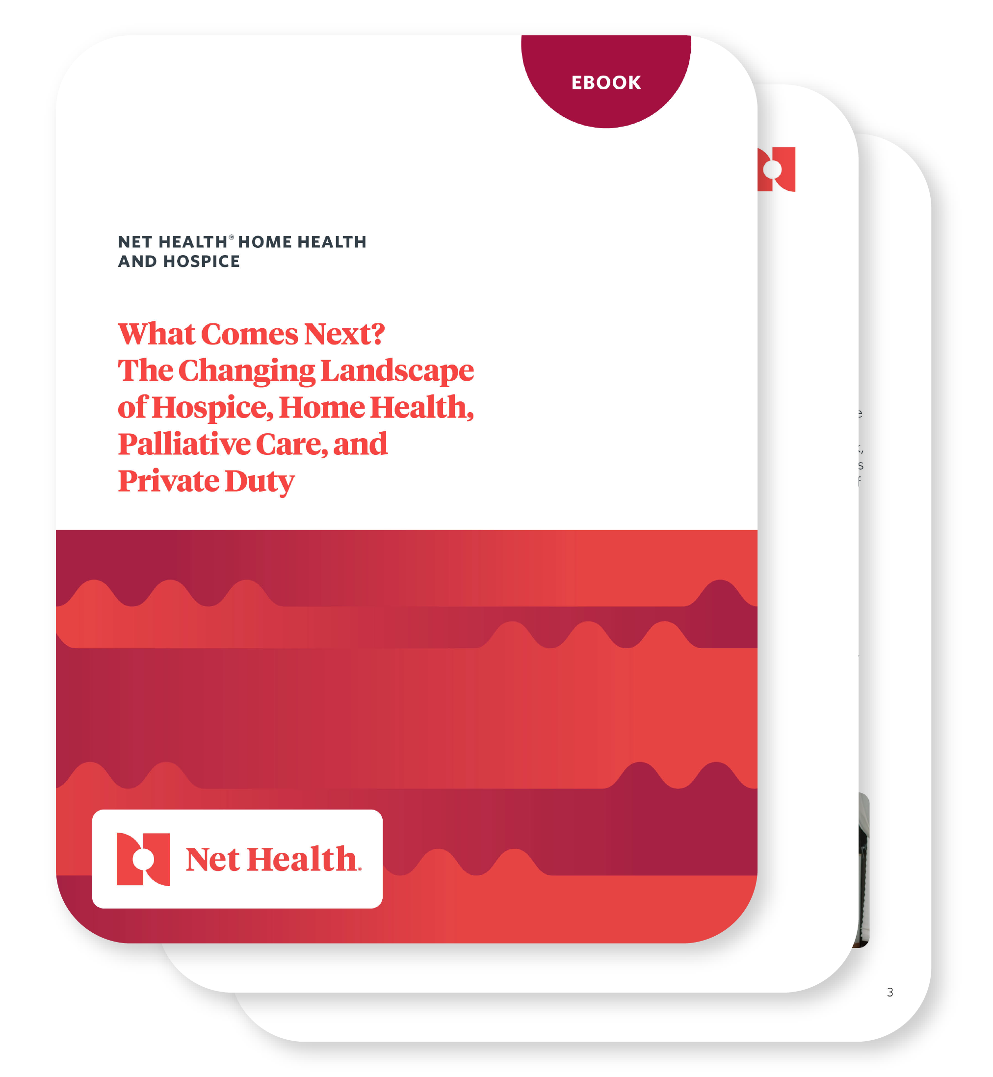 Home Health and Hospice Changing Landscape eBook